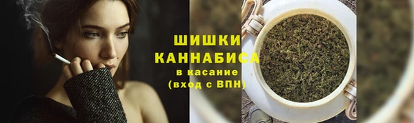 твердый Аркадак