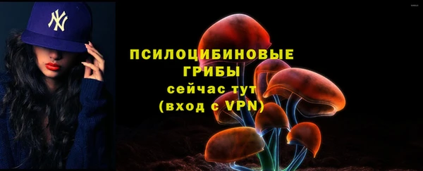 a pvp Армянск