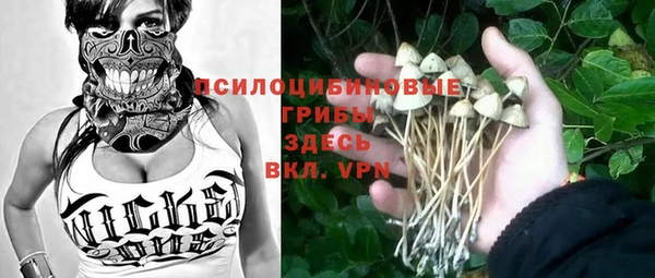 твердый Аркадак