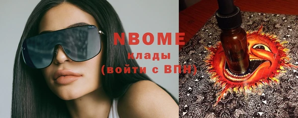 твердый Аркадак