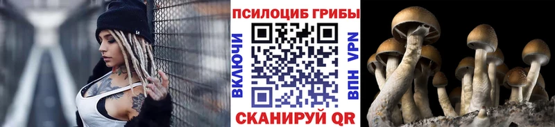 закладки  Сортавала  KRAKEN tor  Псилоцибиновые грибы ЛСД 